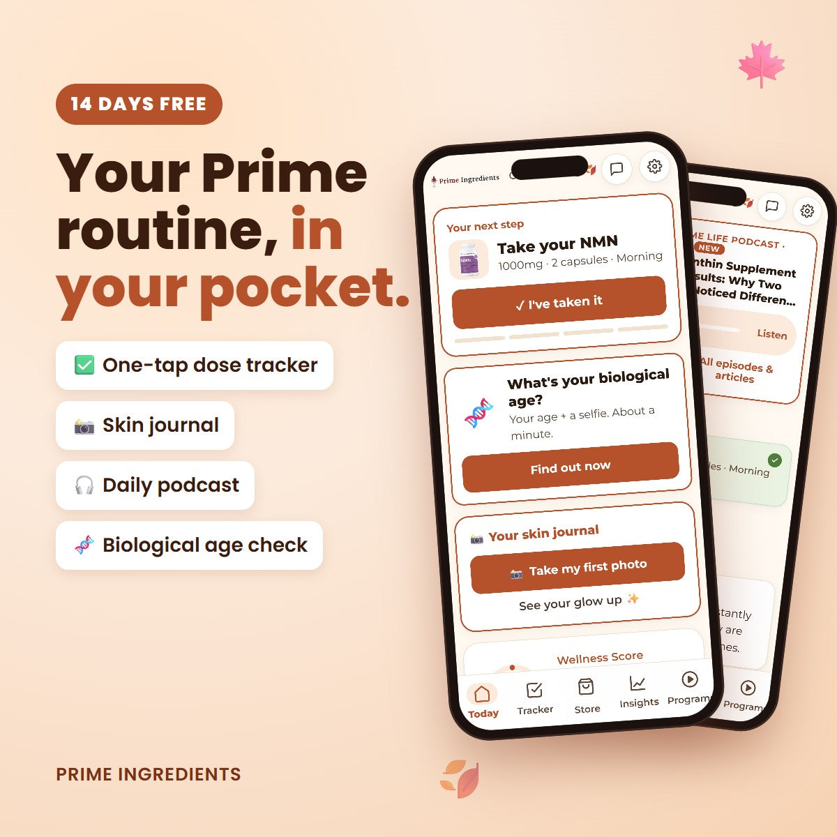 Prime Wellness App - 14 days free
