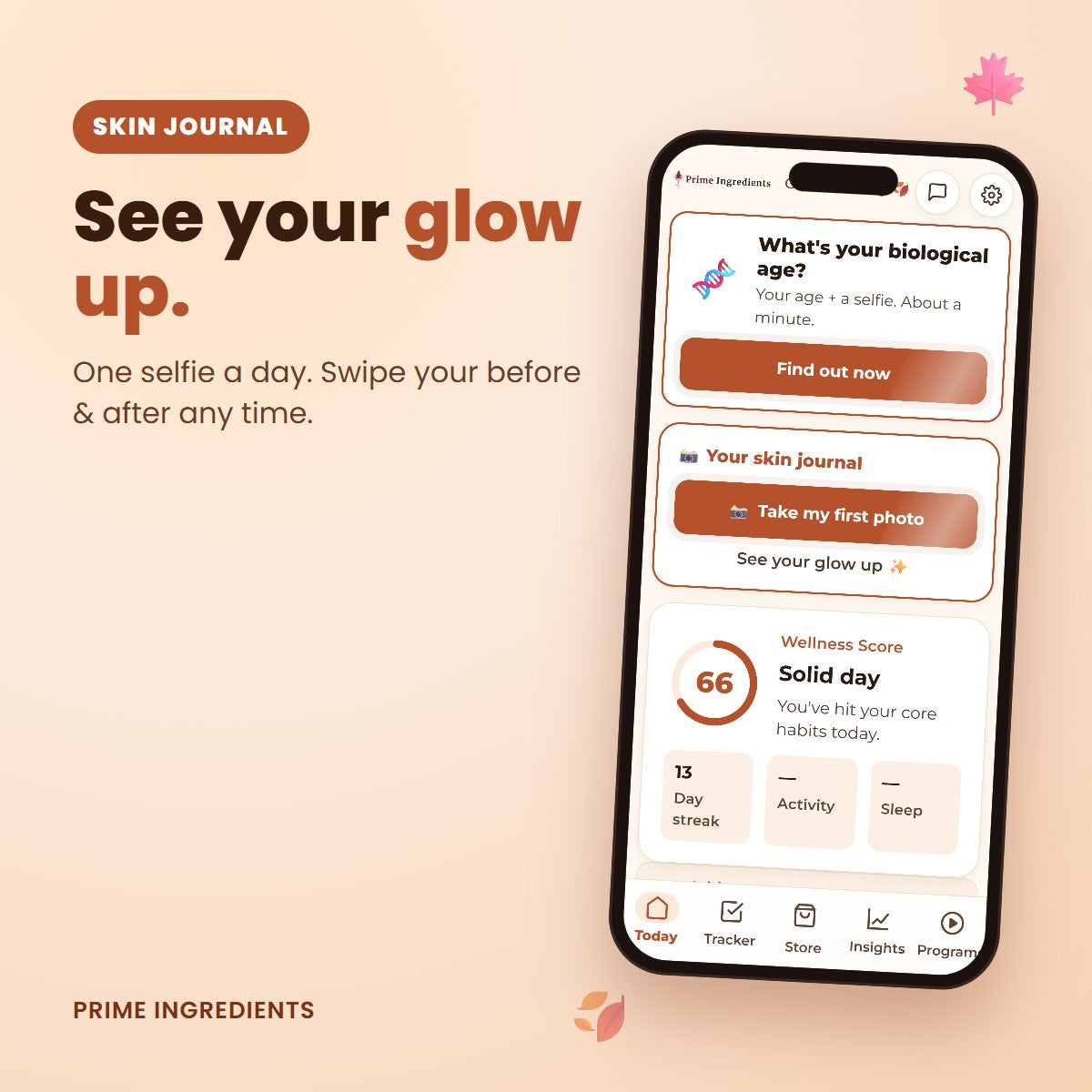 Skin journal